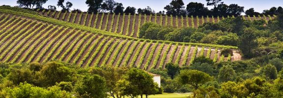 golfreise-portugal-campo-long stay