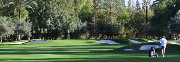Royal Golf