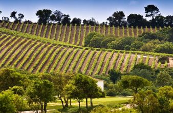 golfreise-portugal-campo-long stay