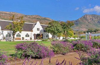 Golfreise Steenberg Südafrika