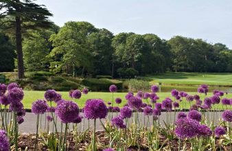 Fota Island Golfreise Irland