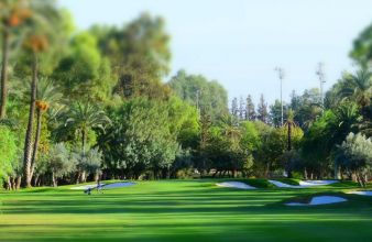Royal Golf
